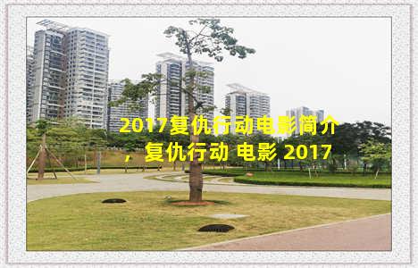 2017复仇行动电影简介，复仇行动 电影 2017